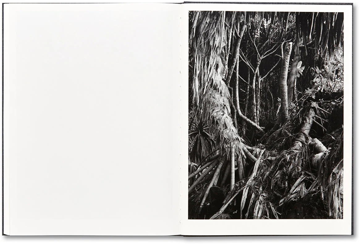 Thumbnail 23