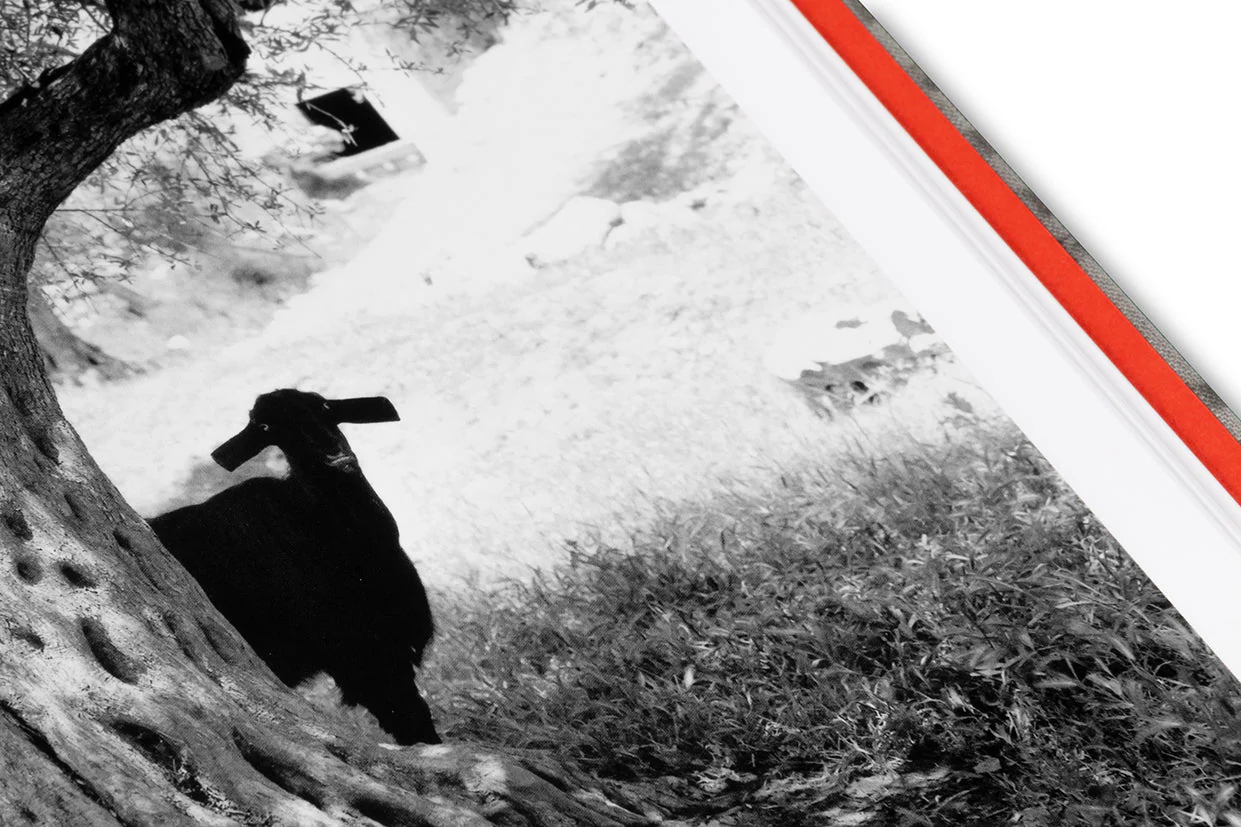 Thumbnail 28